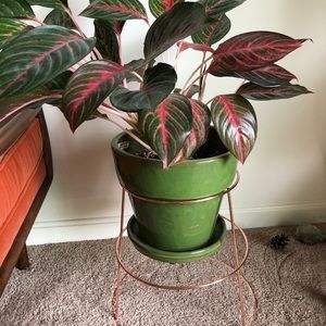 Urban outfitters metal planter stand .
